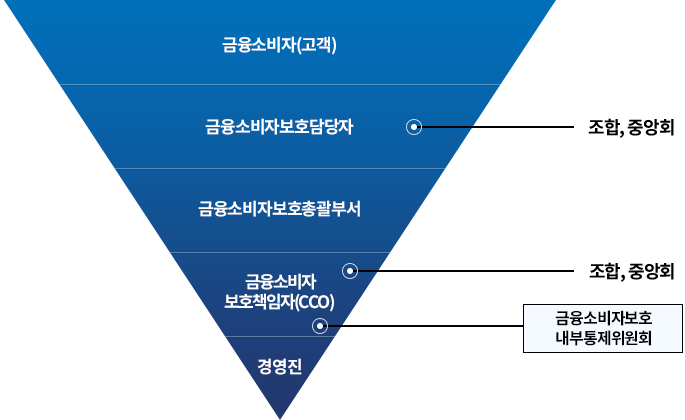 금융소비자보호체계 조직 하단 내용 참조