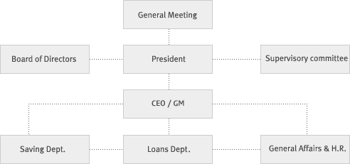 Primary Credit Union Organization