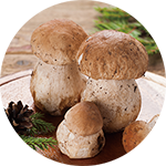 버섯
버섯에는 정상적인 세포조직의 면역기능을 활성화시켜 암세포의 증식 및 재발을 방지하는 베타글루칸 성분이 있다. 이는 면역력을 증진시키는 데 효과가 있다.