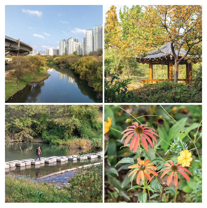 청계천 풍경,청계천의 정자,청계천의 징검다리,청계천에 핀 꽃