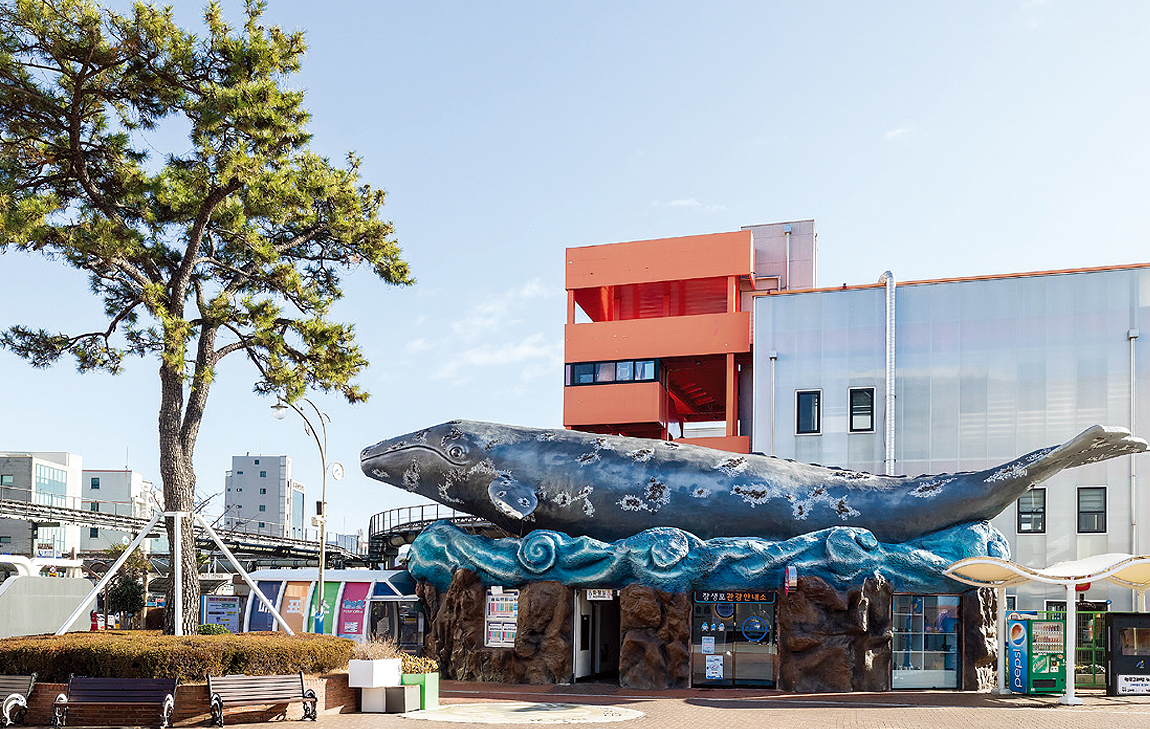 돌고래 체험관